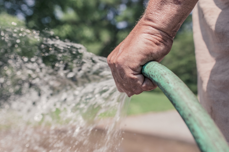 jardinerie-TOURTOUR-min_garden-hose-413684